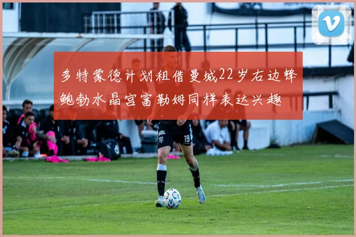 多特蒙德计划租借曼城22岁右边锋鲍勃水晶宫富勒姆同样表达兴趣
