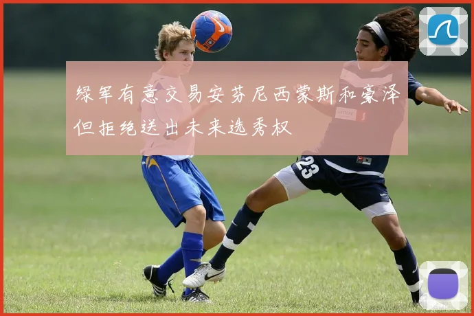 绿军有意交易安芬尼西蒙斯和豪泽但拒绝送出未来选秀权